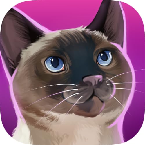 CatHotel - Care for cute cats, cuddle them and play with them.