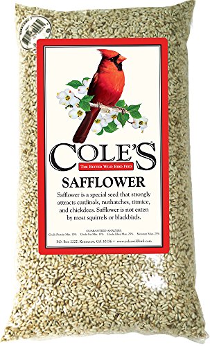 Cole's Wild Bird Products 751478100449 Cole's SA10 Safflower Birdseed, 10-Pound, 10 lb