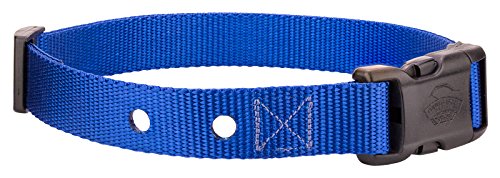 Country Brook Petz - Vibrant 8 Color Selection - Nylon Replacement Collar for Dog Fence Receivers (1 Inch Wide, Royal Blue)