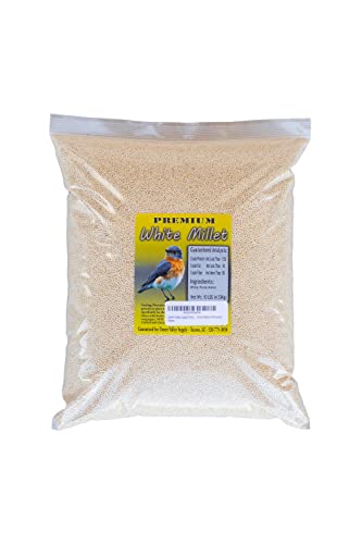 Desert Valley Premium White Millet Proso Seeds - Wild Bird Food, Cardinal, Finches & More (10-Pounds)