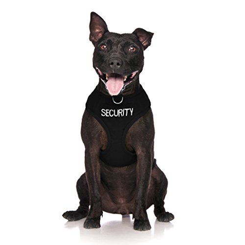 Dexil Limited Security Black Color Coded Non-Pull Front and Back D Ring Padded and Waterproof Vest Dog Harness Prevents Accidents by Warning Others of Your Dog in Advance (M)