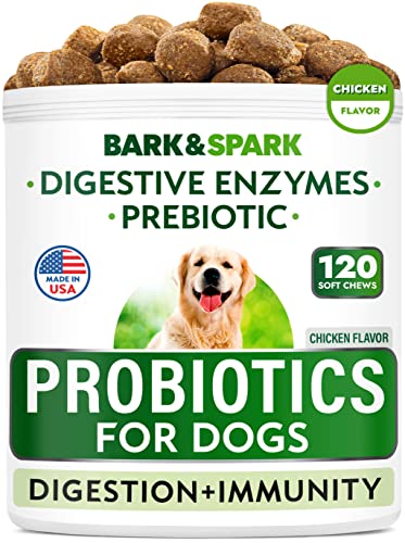 Dog Probiotics & Digestive Enzymes - Allergies & Itchy Skin + Gut Health - Pet Diarrhea Gas Treatment, Upset Stomach Relief Pills, Digestion Health Prebiotic Supplement Tummy Treat (120 Ct - Chicken)