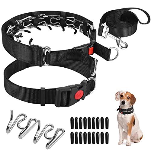 Prong Collar For Chihuahua 2024 - Vet Ranch - We Love Pets