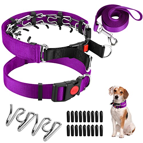 Dog Prong Training Collar, Dog Choke Pinch Collar with Nylon Cover Comfort Tips and Quick Release Snap Buckle, Dog Classic Collar and Dog Leash for Small Medium Large Dogs