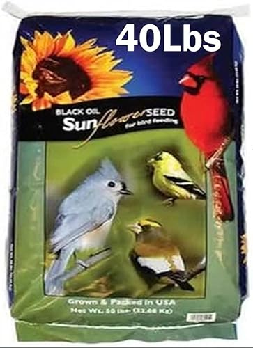 EasyGoProducts Black Oil Sunflower Bird Seed Food – Wild Birds, Cardinals, Squirrels and Much More – 40 Pounds