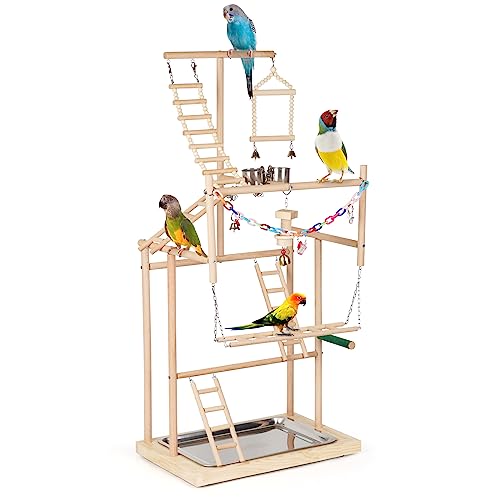 Edudif Parrot Playstand Parrot Perch Stand 4 Layers Bird Playground Large Bird Play Stand Wood Perch Gym Playpen Ladder for Parrots Parakeets Cockatiels (4 Layers)