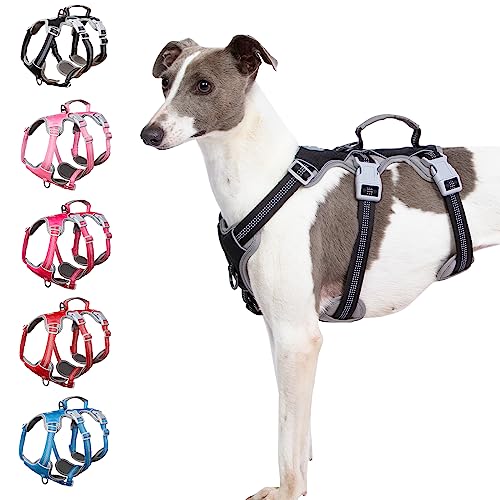 Medium Sized Dog Harnesses