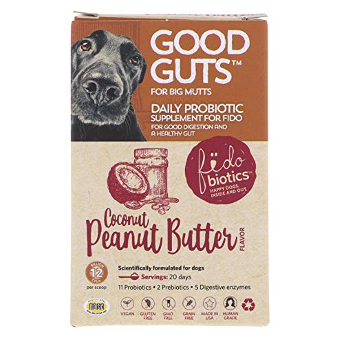 Fidobiotics, Good Guts Large Dog, 1 Count