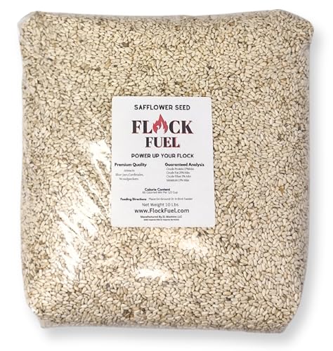 Flock Fuel Premium Safflower Bird Seed. Outside Wild Bird Seed for Wild Birds 10 Pounds