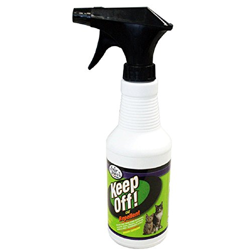 Four Paws Keep Off Indoor/Outdoor Cat & Kitten Repellent, 16 fl. oz.