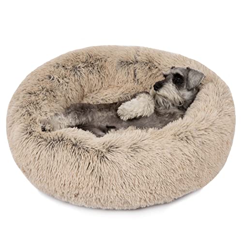 Sealy Lux Dog Bed Medium