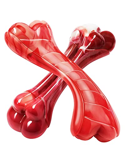 GEE BON 2 Pack Indestructible Dog Toys for Aggressive Chewers - Tough Dog Chew Toys for Aggressive Chewers Large Breed, Nylon Durable Dog Chew Bones with Bacon & Beef Flavor for Medium and Large Dogs