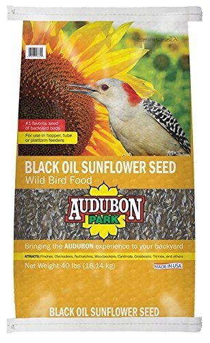 Global Harvest Foods 11801 Park Black Oil Sunflower Seed, 40 lb, Black