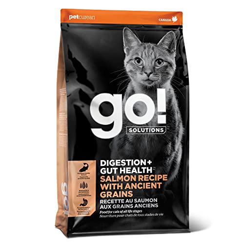 GO! SOLUTIONS Digestion + Gut Health Salmon Recipe with Ancient Grains for Cats, 3 lb Bag - Dry Cat Food for Indoor and Outdoor Cats of All Life Stages - Including Seniors