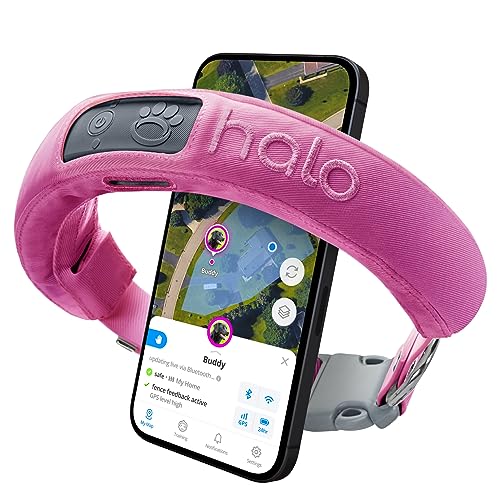 Halo All New Collar 3 (Medium/Large, Orchid) - GPS Dog Fence - Multifunction Wireless Dog Fence & Training Collar with Real-Time Tracking & GPS - Waterproof, Create Up to 20 Wireless Fences