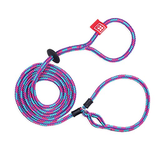 Harness Lead No Pull Dog Harness and Leash Set, Anti Pull Dog Harness for All Breeds and Sizes, One-Piece Cushioned Rope Design Safely Prevents Escaping and Pulling (Medium/Large, Reef)