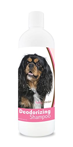 Healthy Breeds Dog Deodorizing Shampoo For Cavalier King Charles Spaniel - Over 200 Breeds - For Itchy Sensitive Dry Flaking Scaling Skin & Coat - Hypoallergenic Formula & Ph Balanced - 16 Oz