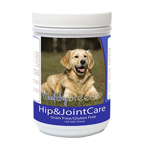 Healthy Breeds Golden Retriever Hip and Joint Care 120 Count