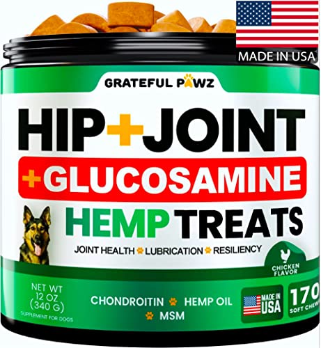 Hemp Hip and Joint Supplement for Dogs - Glucosamine for Dogs - 170 Dog Joint Pain Relief Treats - Chondroitin, MSM, Hemp Oil - Advanced Dog Joint Supplement Health - Mobility Support Chews