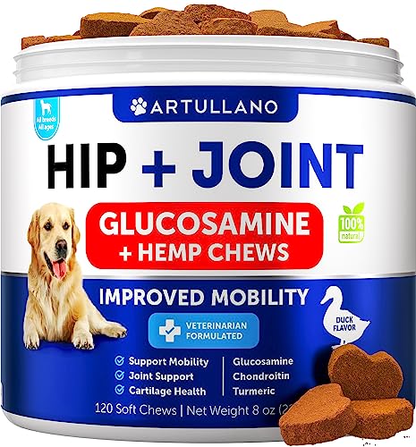 Hemp Hip and Joint Supplement for Dogs - Glucosamine for Dogs - Dog Joint Pain Relief Treats - Chondroitin - MSM - Hemp Oil - Mobility Support - Advanced Canine Joint Health - Made in USA - 120 Chews