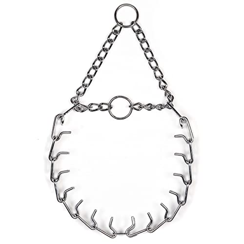 Top Paw Chrome Prong Collar How To Use 2024 - Vet Ranch - We Love Pets