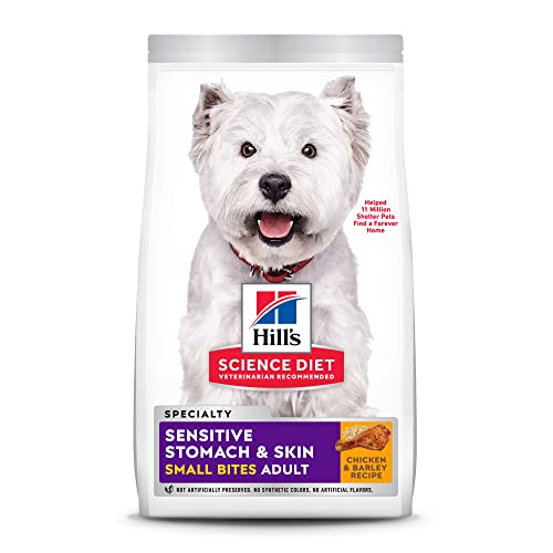 best-food-for-dog-with-skin-allergies-2024-vet-ranch-we-love-pets