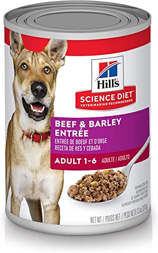 Hill's Science Diet Wet Dog Food, Adult 1-6, Beef & Barley Entrée, 13 Ounce (Pack of 12)