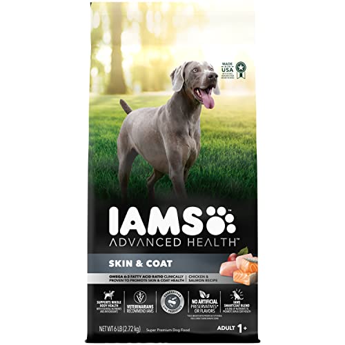 IAMS Advanced Health Skin & Coat Chicken and Salmon Recipe Adult Dry Dog Food, 6 lb. Bag