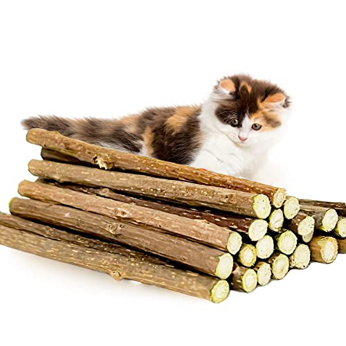 icoloursky 20Pcs Silvervine Sticks Natural, Organic, Matatabi Dental Sticks, Cat Toys, Cat Chew Stick, Catnip Toys, Silver Vine Kitty Chew Toys for Indoor Cats, Kitten Teething, Make Cats Exiced