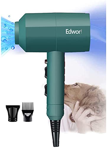 IONE Dog Cat Hair Dryer,Professinal Double Force Grooming Blower Dryer for Medium/Small Pets,IEC & UL Certificated (Deep Green)