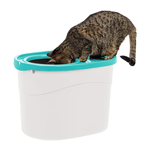 IRIS USA Top Entry Cat Litter Box with Scoop, White/Seafoam