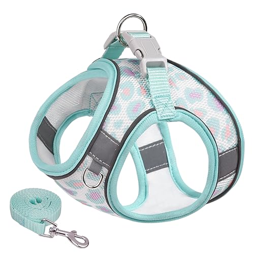 JOYPAWS Soft Dog Harness and Leash Set for Walking, Summer Step in Vest Harness, Floral Print Mesh, Super Breathable Pet Supplies for Extra Small Dogs and House Cats Green XS