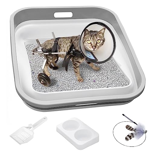 KAQUMAO Senior Cat Litter Box Set, Include Low Entry Senior Cat Litter Box, Low Profile Double Food Bowl, Senior Cat Wand Toy, Cat Litter Scoop (Soft Grey)