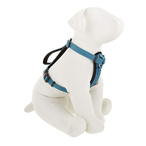 KONG Comfort Padded Chest Plate Dog Harness Offered by Barker Brands Inc. (XL, Blue)