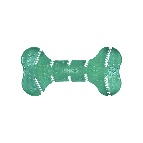 KONG Squeezz Dental Bone - Dog Chew Bone with Unique & Flexible Texture - Dental Dog Toy to Aid Teeth & Gum Cleaning - Dog Dental Chew Toy - Medium/Large Dogs