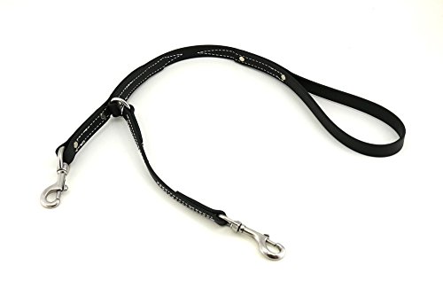 Leerburg BioThane Prong Collar Leash 2' - Black