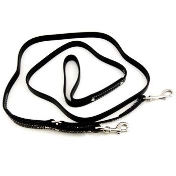 Leerburg BioThane Prong Collar Leash 6' - Black