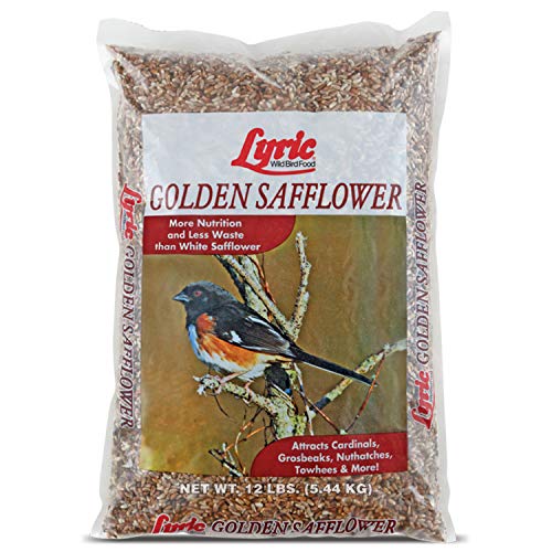 Lyric Golden Safflower Seed - Attracts Cardinals, Chickadees, Woodpeckers & More - 12 lb Bag