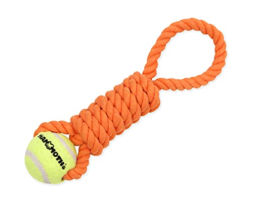 Mammoth Flossy Chews Twister Rope Toy with Tennis Ball – Premium Cotton-Poly Tug Toy for Dogs – Interactive Dog Tug Toy – Rope Dog Toy with Tennis Ball for Small Dogs - Mini 11" - Assorted Colors