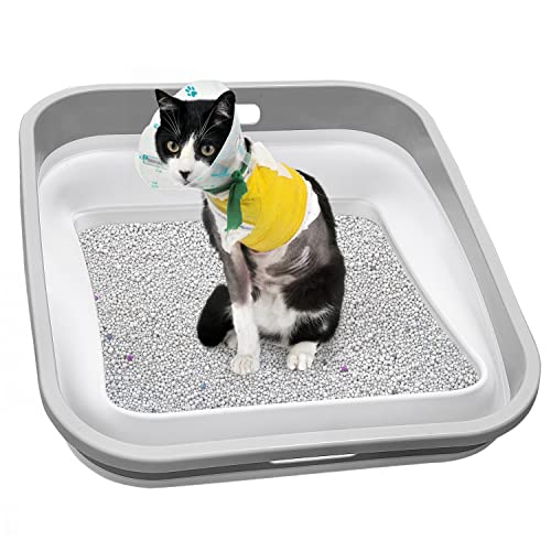 Maohegou Senior Cat Litter Box, Three Legged Arthritic Open Low Entry for Sick Frail Handicap Disabled Cats, Older Elderly Corner (one Pack)