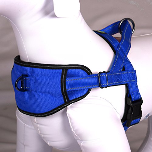 Max and Neo Passport Reflective Dog Harness - We Donate a Harness to a Dog Rescue for Every Harness Sold (Large, Blue)