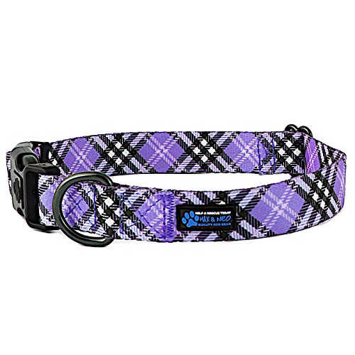 Max and Neo Plaid Pattern NEO Dog Collar - We Donate a Collar to a Dog Rescue for Every Collar Sold (Purple, Medium)