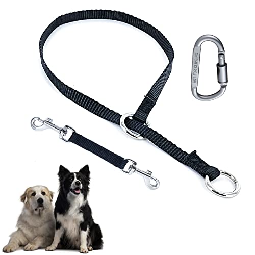 Mayerzon Backup Collar, Nylon Slip Collar with Double Ended Clip and Carabiner for Prong Collar, Dog Training Spare Set for Safety Walking