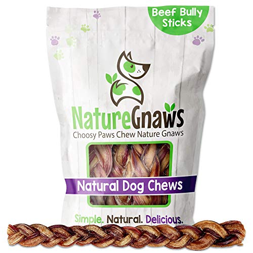 Nature Gnaws Braided Bully Sticks for Dogs - Premium Natural Beef Dental Bones - Long Lasting Dog Chew Treats for Aggressive Chewers - Rawhide Free 5 Count