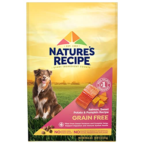 Nature's Recipe Grain Free Dry Dog Food, Salmon, Sweet Potato & Pumpkin Recipe, 12 Pound Bag, Easy to Digest
