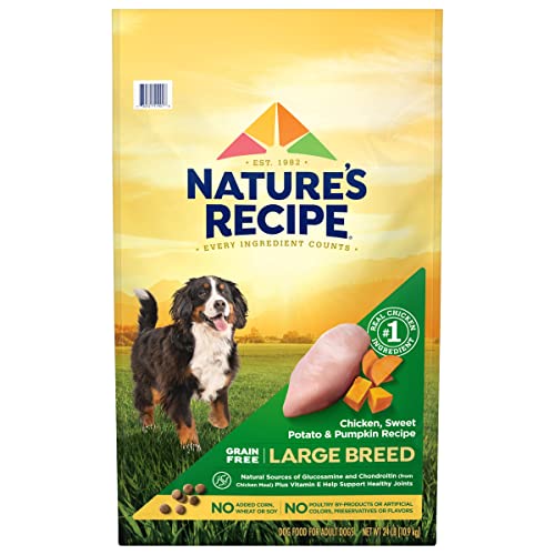 Nature’s Recipe Large Breed Grain Free Chicken, Sweet Potato & Pumpkin Recipe, Dry Dog Food, 24 Pounds (Packaging May Vary)