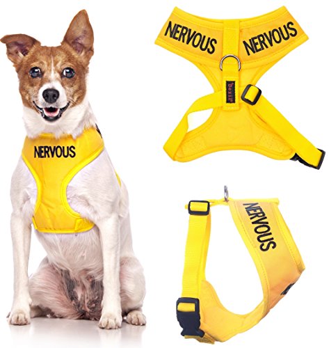 NERVOUS (Give Me Space) Yellow Color Coded Non-Pull Front and Back D Ring Padded and Waterproof Vest Dog Harness PREVENTS Accidents By Warning Others Of Your Dog (Small Harness 15-24inch Chest/Girth)
