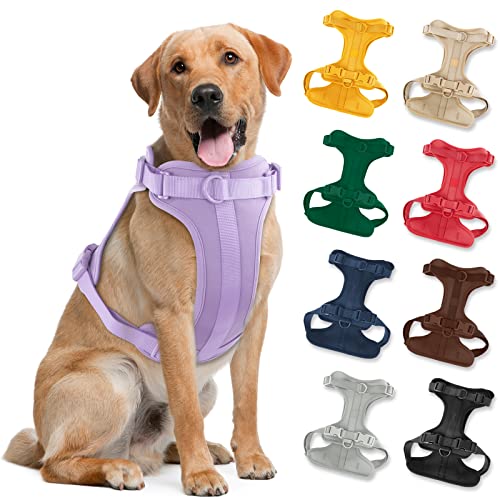 No Pull Lightweight Dog Harness: Adjustable Durable Breathable Mesh Pet Vest Harness with Soft & Comfortable Cushion, for Small Medium Large Dogs (Lilac, L)