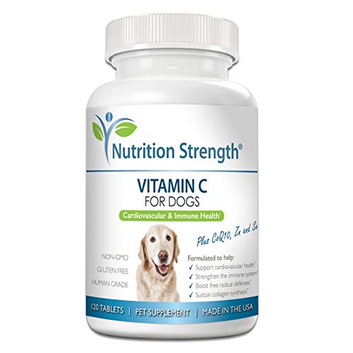 Nutrition Strength Vitamin C for Dogs to Support Cardiovascular Health, Help Strengthen The Immune System, Boost Free Radical Defenses and Sustain Collagen Synthesis, 120 Chewable Tablets