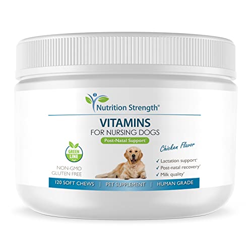 Nutrition Strength Vitamins for Nursing Dogs to Support Lactation and Post-Natal Recovery, Promote Milk Quality and Healthy Puppies with Calcium, Phosphorus, Magnesium and Zinc, 120 Soft Chews
